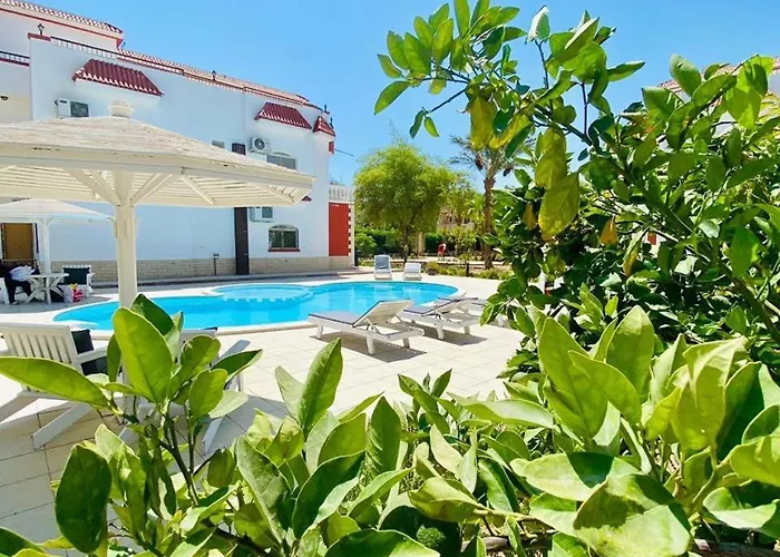 Magawish In The Heart Of The Villa